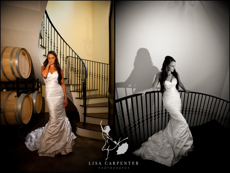 Lisa Carpenter Weddings ASb03